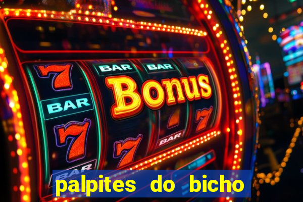 palpites do bicho no celular